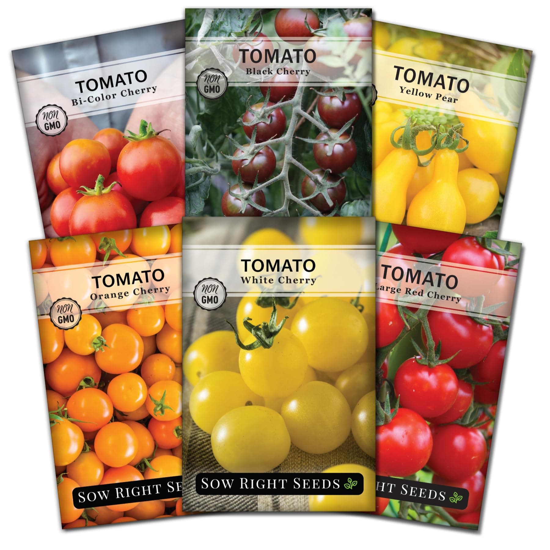 Cherry Tomato Seed Collection for Planting - Black, Large Red, White, Orange, Bi-Color Cherry and Yellow Pear Tomatoes - Non-GMO Heirloom Varieties to Plant a Home Vegetable Garden