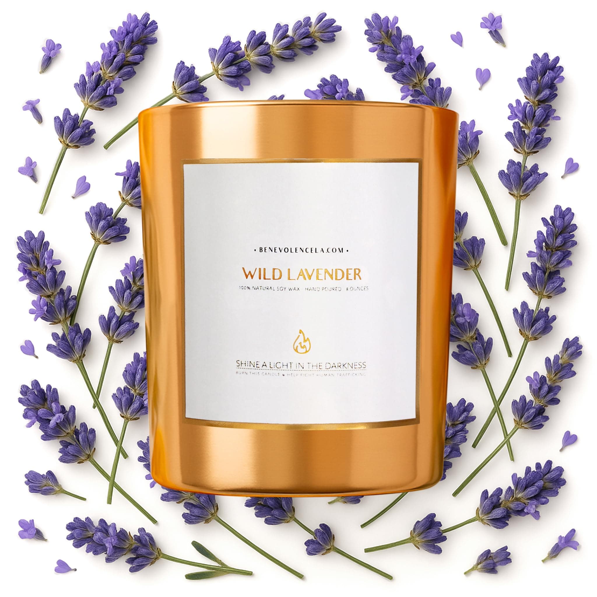 Benevolence LA Wild Lavender Candle | Highly Scented Aromatherapy Candle | 8 oz 45 Hour Burn, Gold Glass Jar