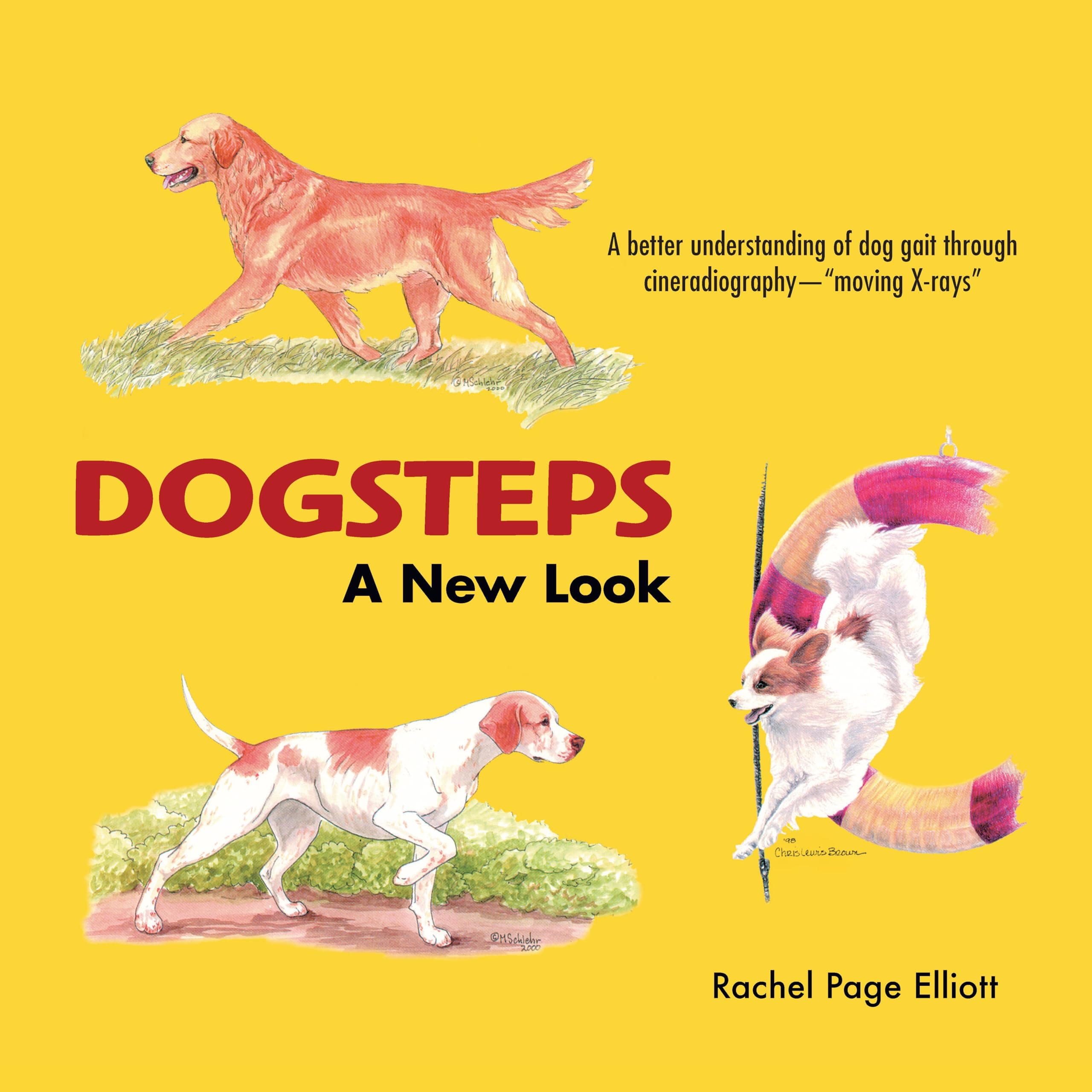 Dogsteps: A New Look, 3rd Edition (CompanionHouse Books) Definitive Manual to Canine Movement, Dog Anatomy, and Natural Gaits of Purebred Dogs for Breeders, Judges, and Show Dog Enthusiasts