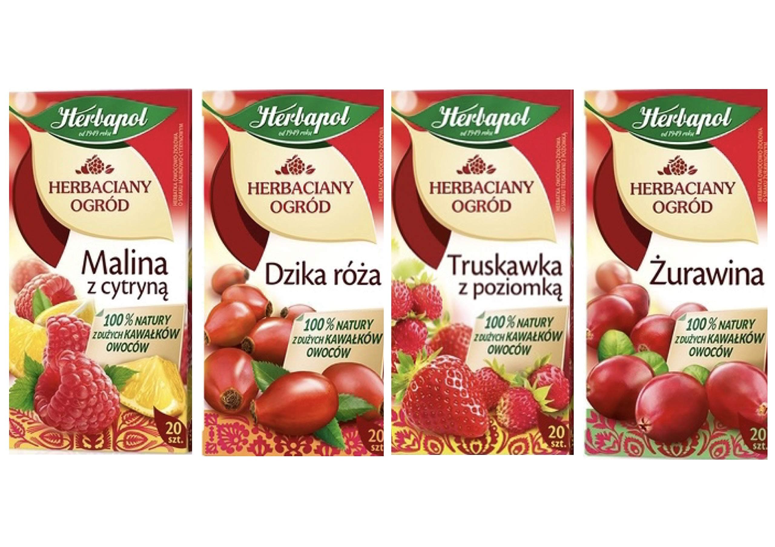 Herbal Fruit Infused Tea (Variety 4 Pack) WILD ROSE, STRAWBERRY & WILD STRAWBERRY, CRANBERRY and RASPBERRY & LEMON Tea Natural Flavor - 20 Silk Tea Bags Each.