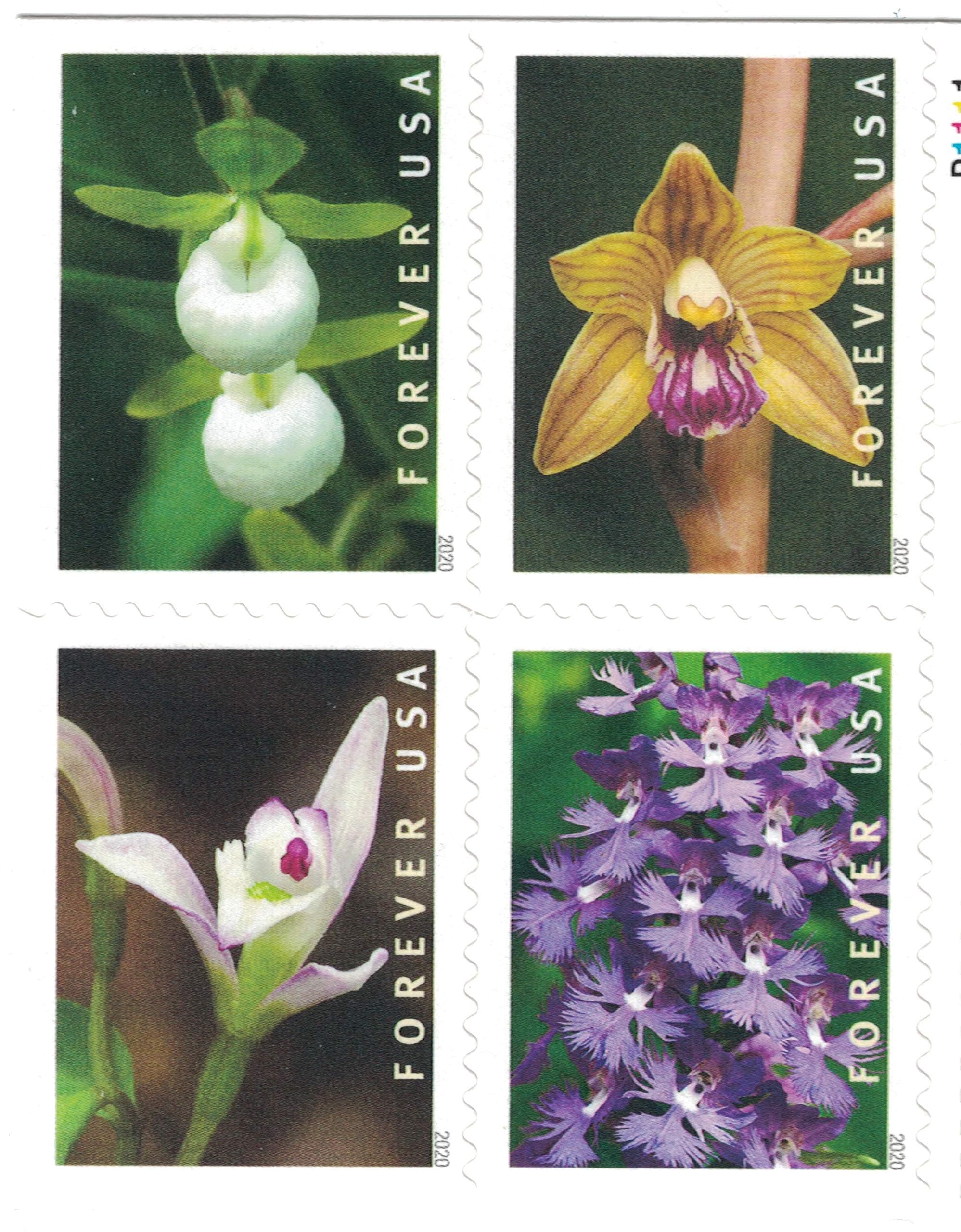 United States Postal Service Wild Orchids Book of 20 Forever Postage Stamps Scott 5444