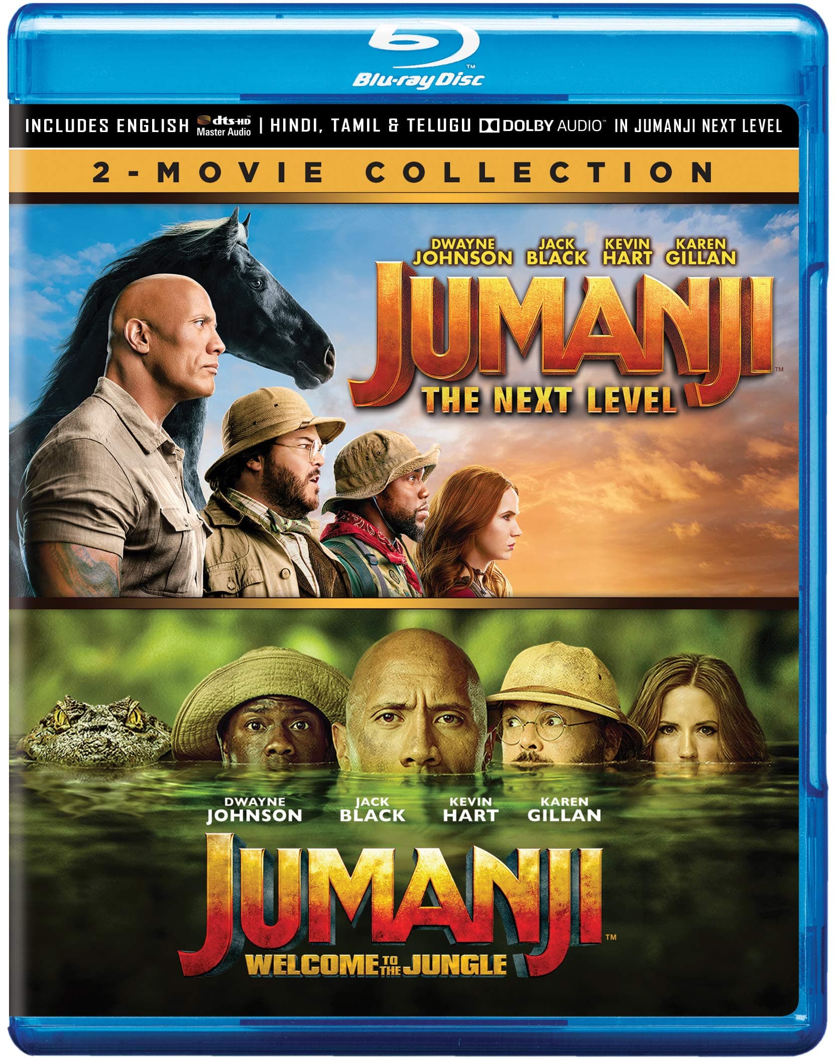 Jumanji 2 Movie Collection - Jumanji: Welcome to the Jungle (2017) + Jumanji: The Next Level (2019) (2-Disc)