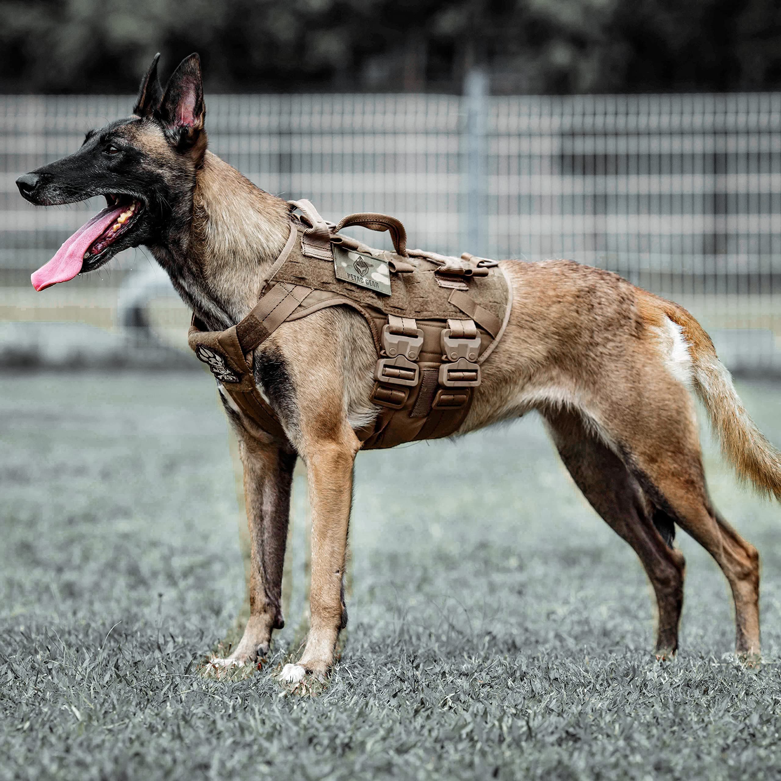 PETAC GEAR Tactical Dog Harness K9 Military Dog Training Harness Adjustable Police Service Dog Working MOLLE Vest for Large Medium Dogs Mals GSD Lab… … Coyote Brown
