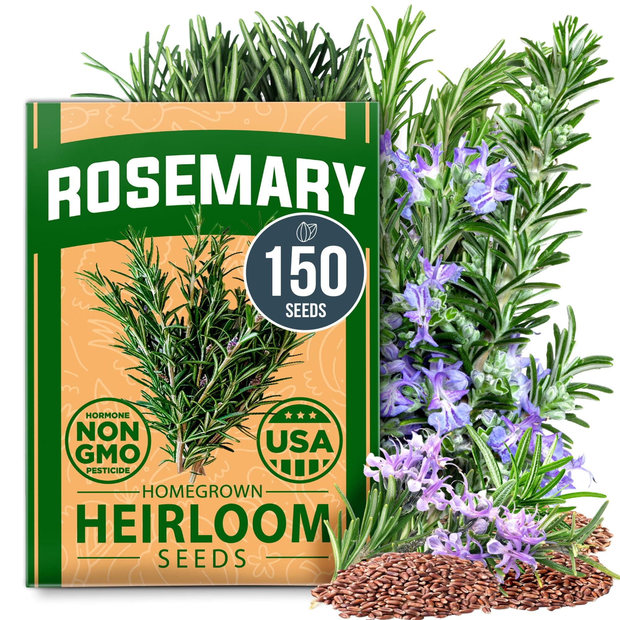 HOME GROWN Non GMO Rosemary Seeds Pack - 150 High Germinating Heirloom Herb Seeds for Planting in Indoor or Outdoor Herb Gardens (Salvia rosmarinus)