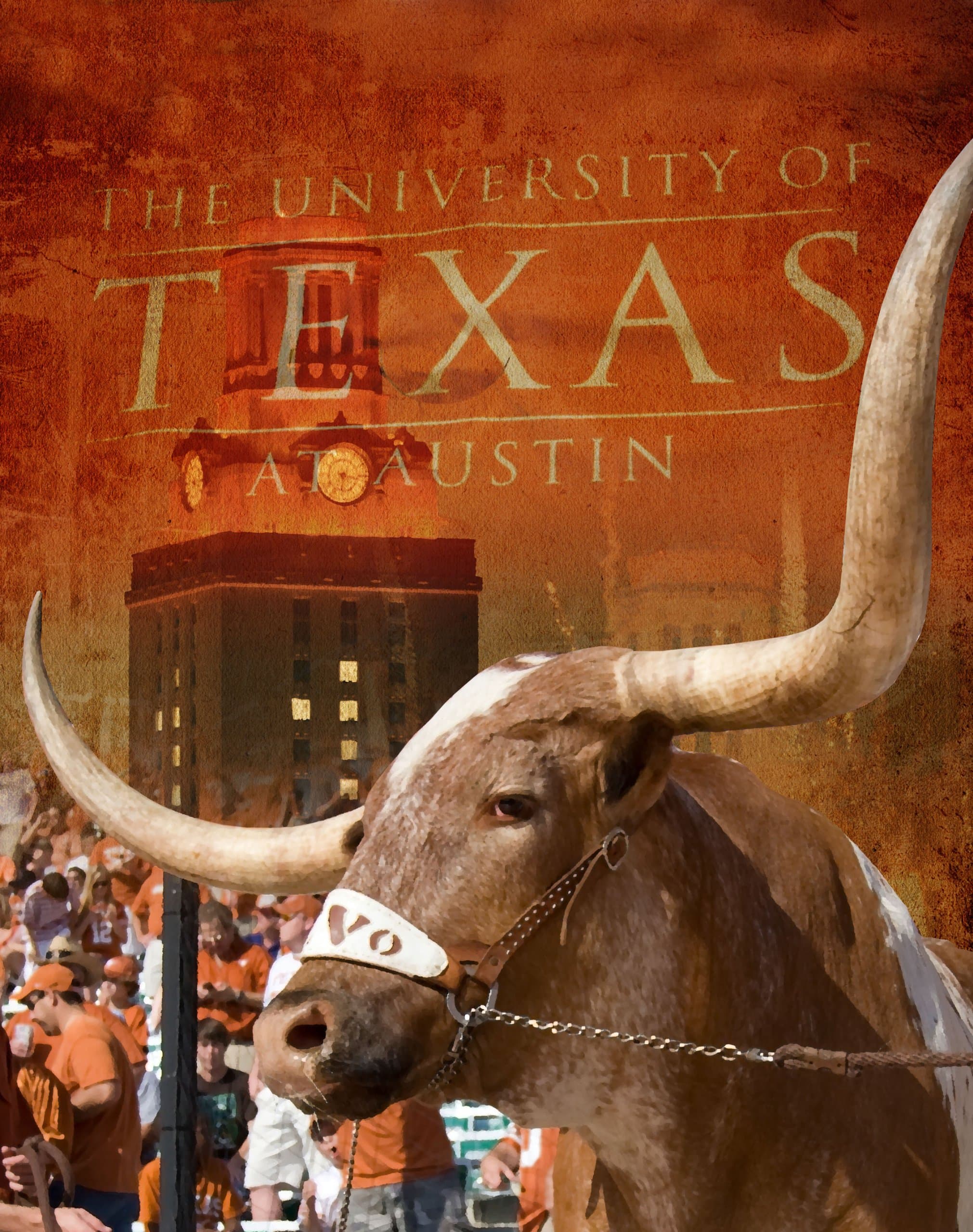 NEW Longhorns 11x14 Wrapped Canvas Print of Bevo - University of Texas Longhorns Mascot - Officially Licensed Merchandise