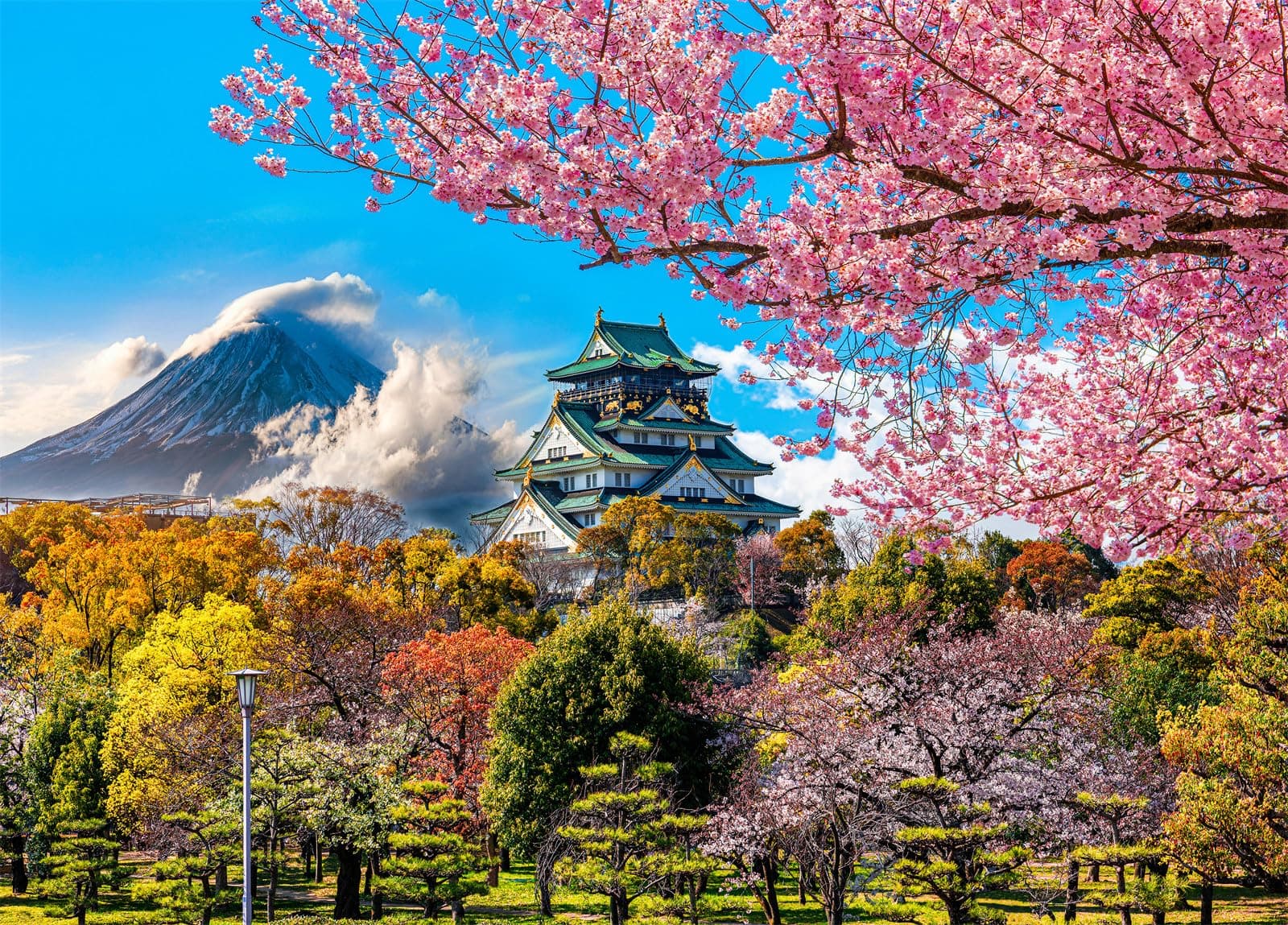 HUADADA 1000 Piece Puzzles for Adults - Cherry Blossoms in Osaka Castle, Japan - Jigsaw Puzzles for Adults 1000 Piece Educational Games Colorful Puzzles for Home Decoration