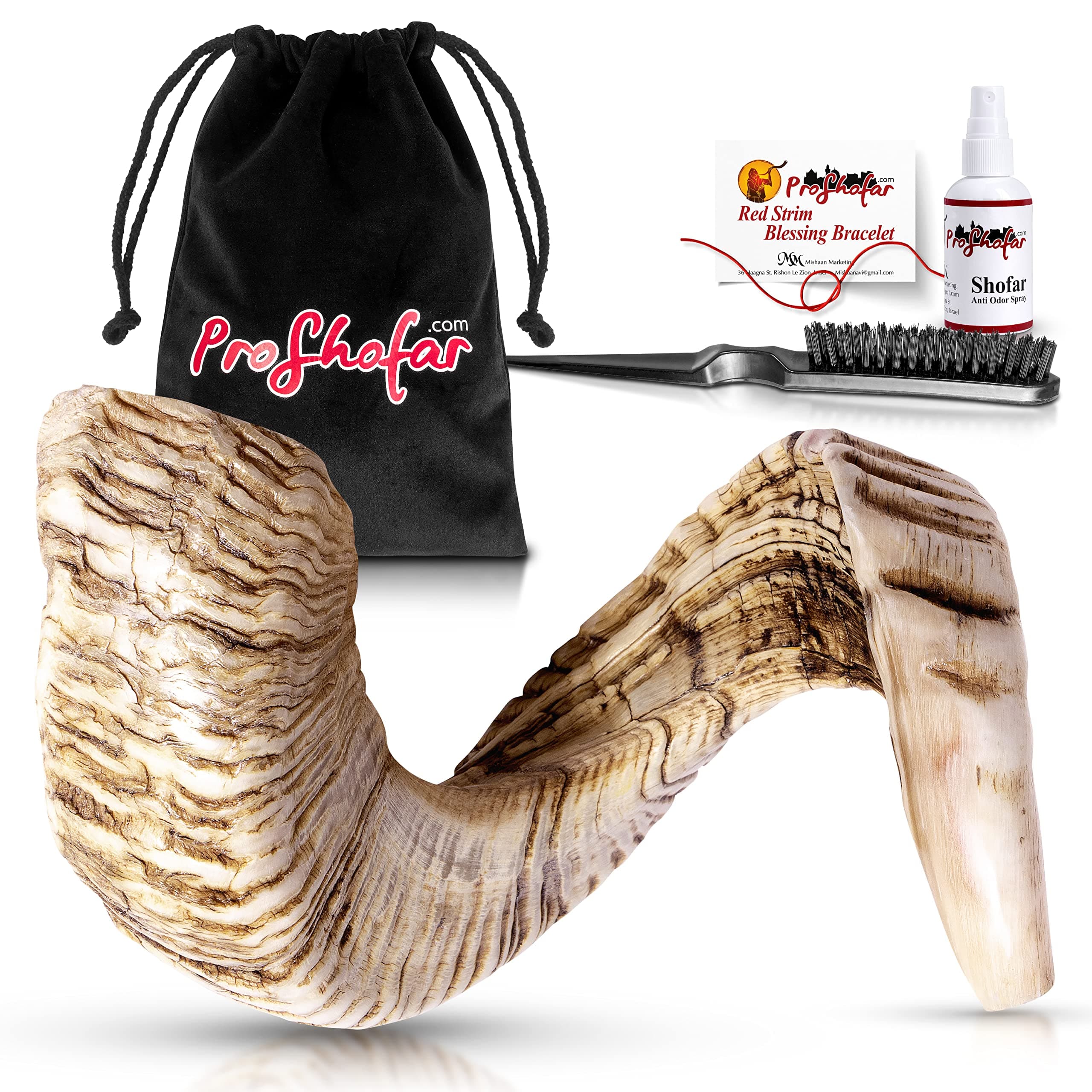 Natural Jericho Shofar Set From Israel - Natural - Traditional Ancient Musical Instrument For Spiritual Ceremonies And Religious Sermons