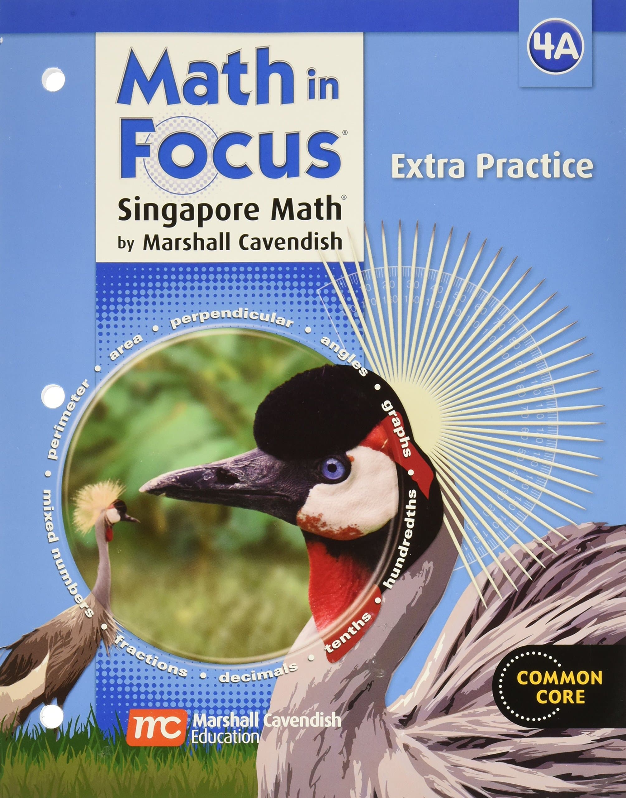 Math in Focus: The Singapore Approach, Grade 4, Book A: Extra Practice Common Core
