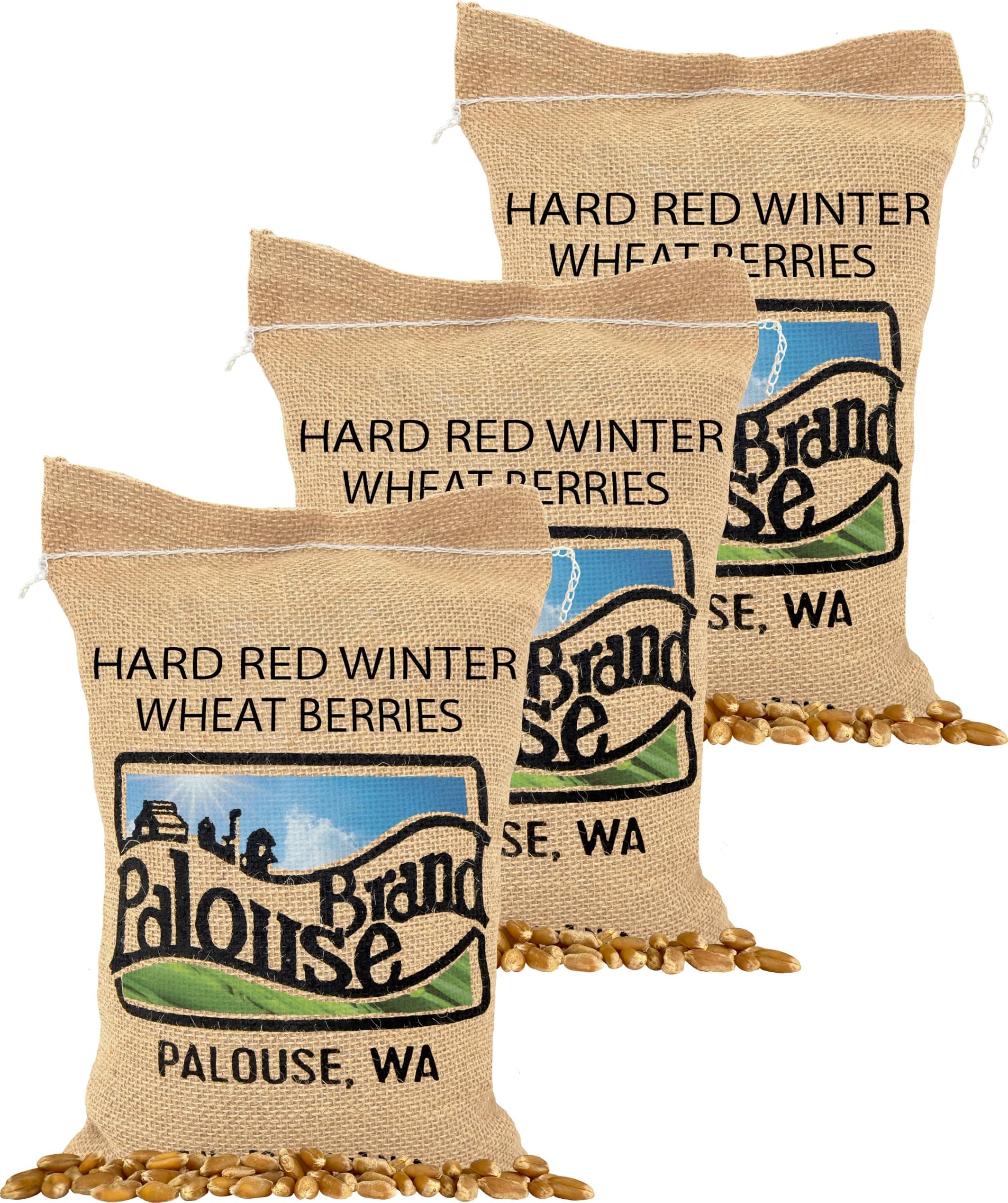 Palouse Brand Certified Glyphosate Residue Free Hard Red Winter Wheat Berries | 15 LBS | 3 Pack | Family Farmed in Washington State | Non-GMO Project Verified | Kosher