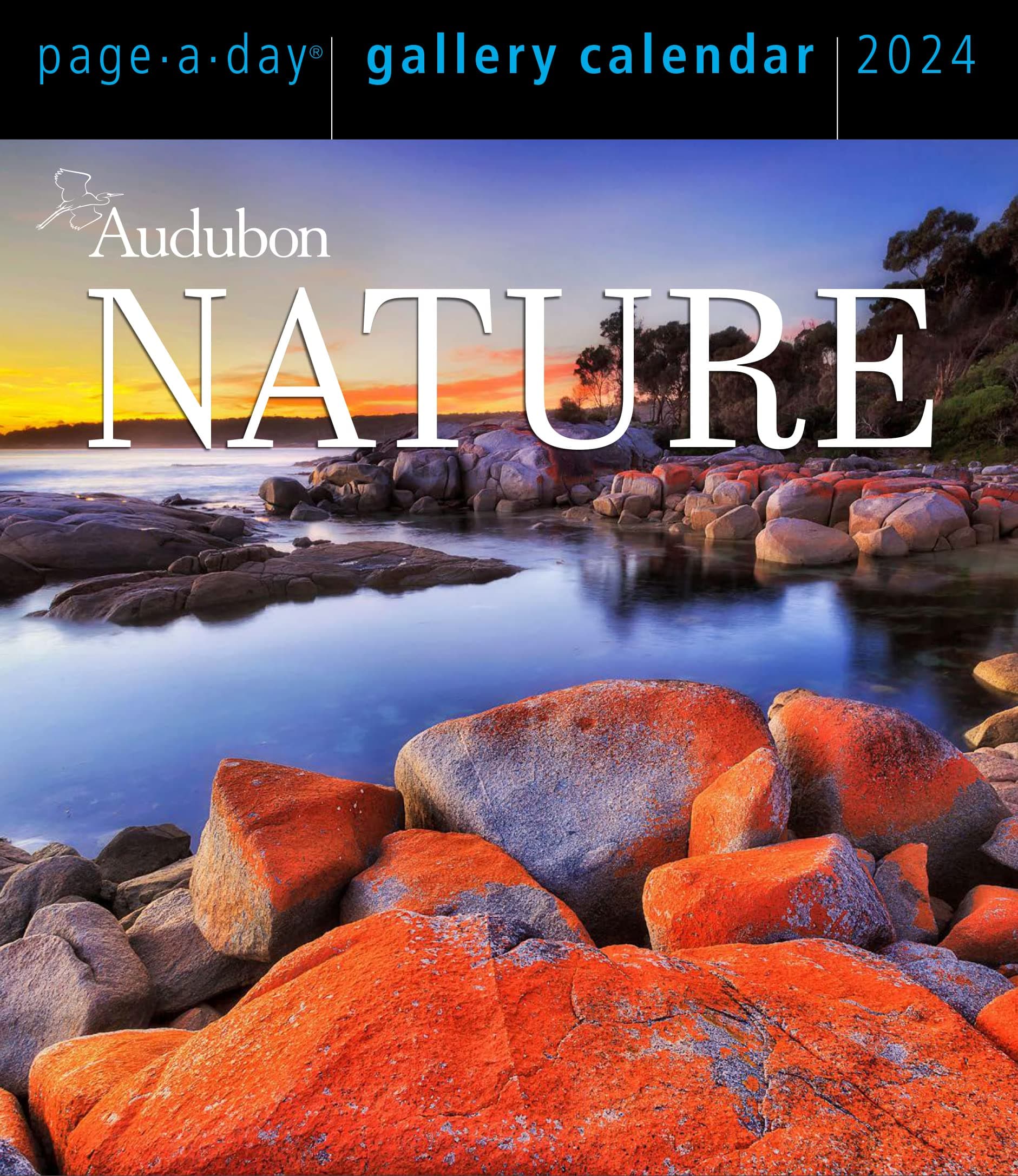 Audubon Nature Page-A-Day Gallery Calendar 2024: The Power and Spectacle of Nature Captured in Vivid, Inspiring Images