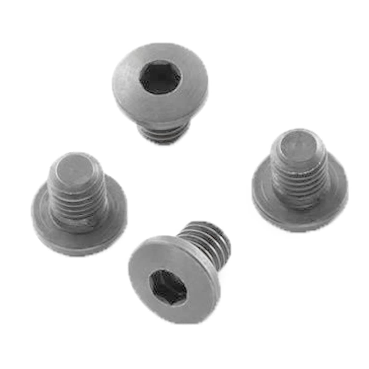HogueGovt. and Officers Model Screws (4) Hex Head - Stainless Finish
