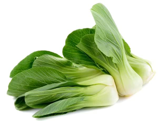 Pak Choi(Brassica rapa var. Chinensis), also known as, Pok Choy or Bok Choy.