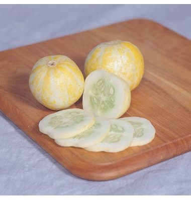 Cucumber Lemon Great Heirloom Vegetable Seeds by Seed Kingdom (100 Seeds)