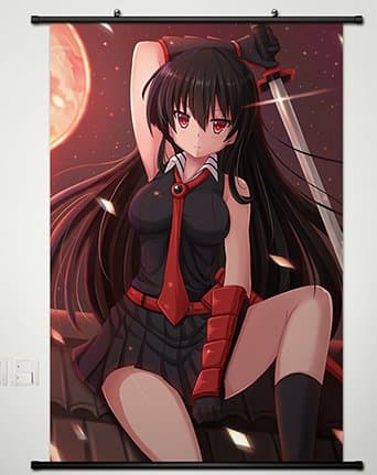 Wall Scroll Poster Fabric Painting for Anime Akame 048 S