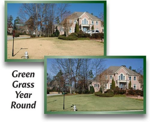EnviroColor 4EG0032 851612002100 1,000 Sq. Ft. 4EverGreen Grass and Turf Paint, 1250 Square Feet, Green