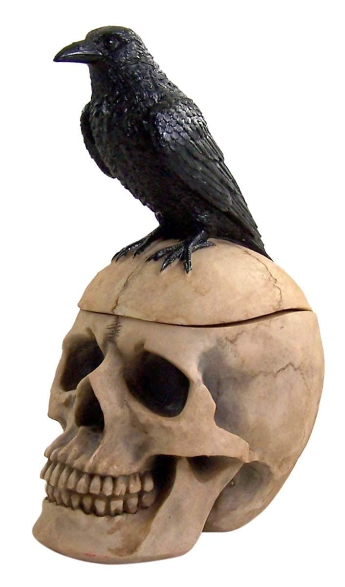 Wowser Nevermore Crow and Skull Trinket Jewelry Storage Box, 9 1/2 Inches