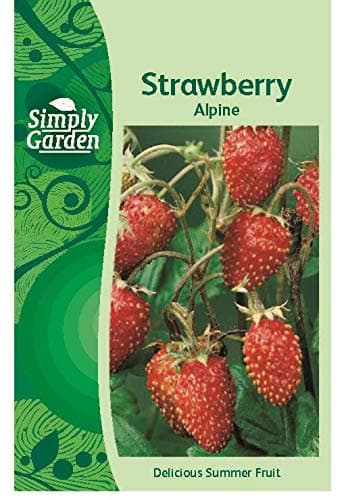 Strawberry Alpine Fresh Fruit Seeds Grow Your Own Garden