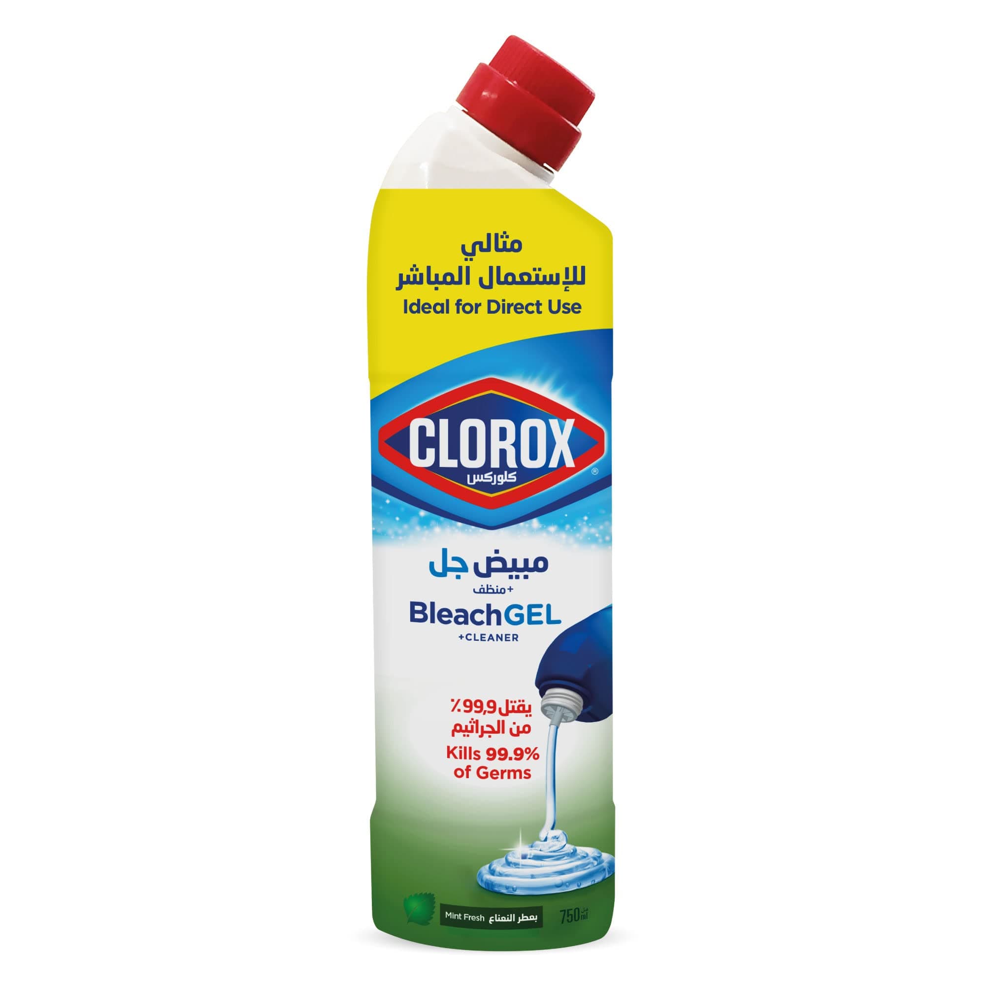 Clorox Bleach Gel and Cleaner, 750ml, Mint Freshness, Kills 99.9 Percent of Germs, Thick Gel Formula
