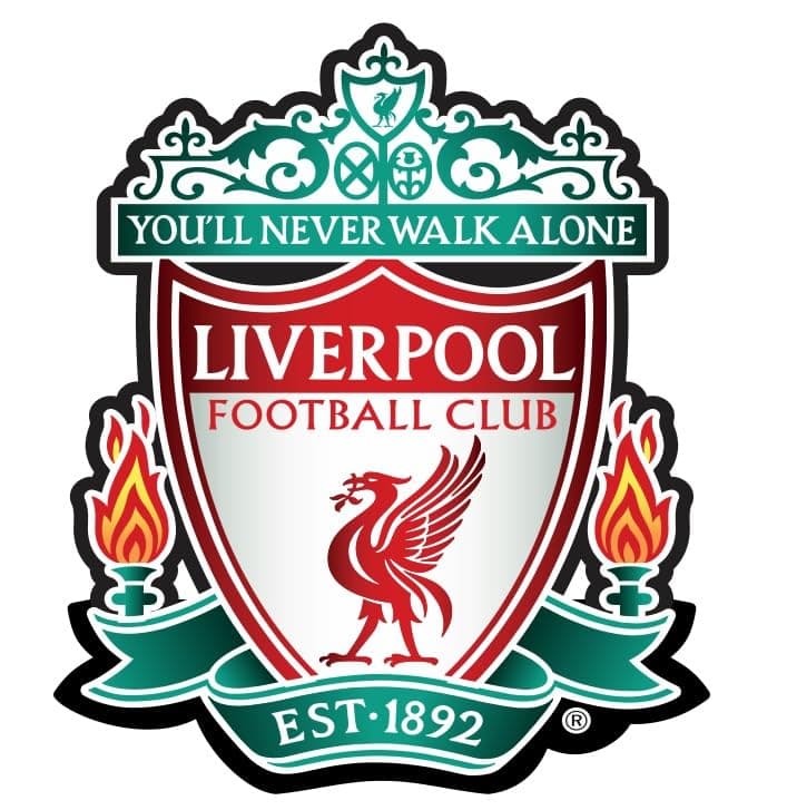 Skywalk Collectible Liverpool Football Club Fridge Magnet for Football Lovers (Multicolor)