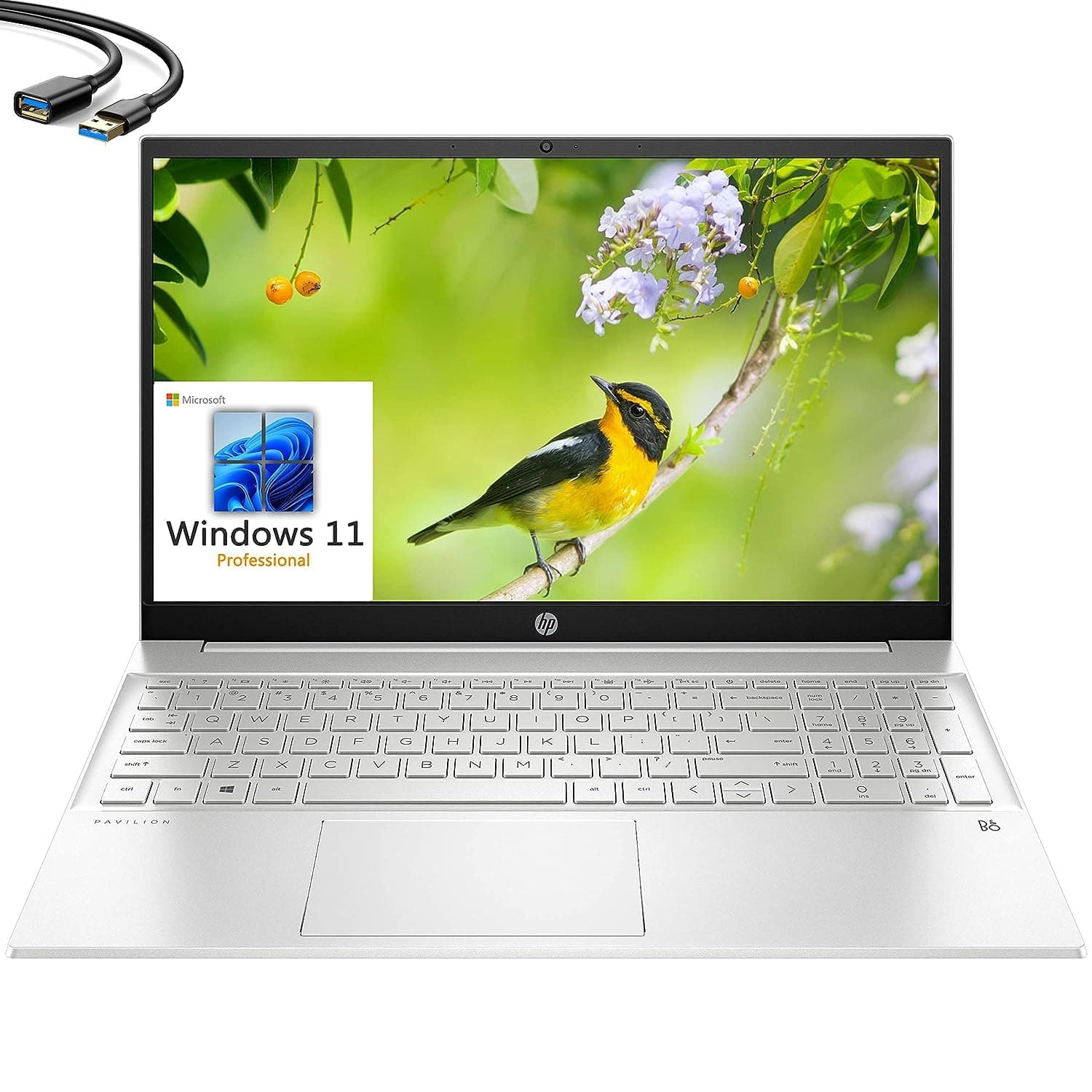 2023 Pavilion 15 15.6" FHD Business Laptop, 12th Gen Intel 10 Cores i7-1255U, 32GB DDR4 RAM, 1TB PCIe SSD, WiFi 6, Bluetooth 5.2, Webcam, Natural Silver, Windows 11 Pro, USB 3.0 Extension Cable