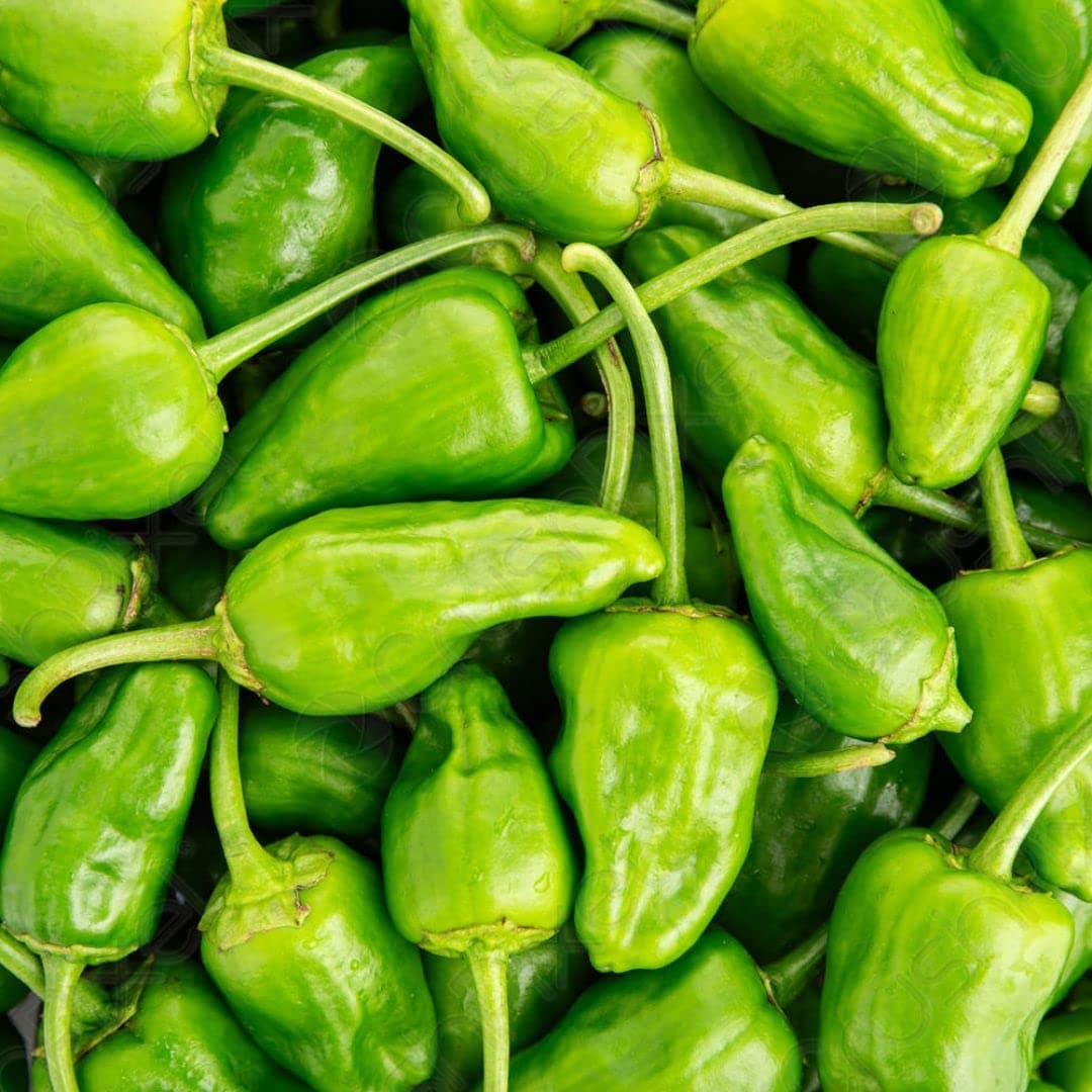 Pimientos DE Padron-100 Seeds (Padron Pepper)- Hot/Sweet/Mild,Spanish Heirloom !