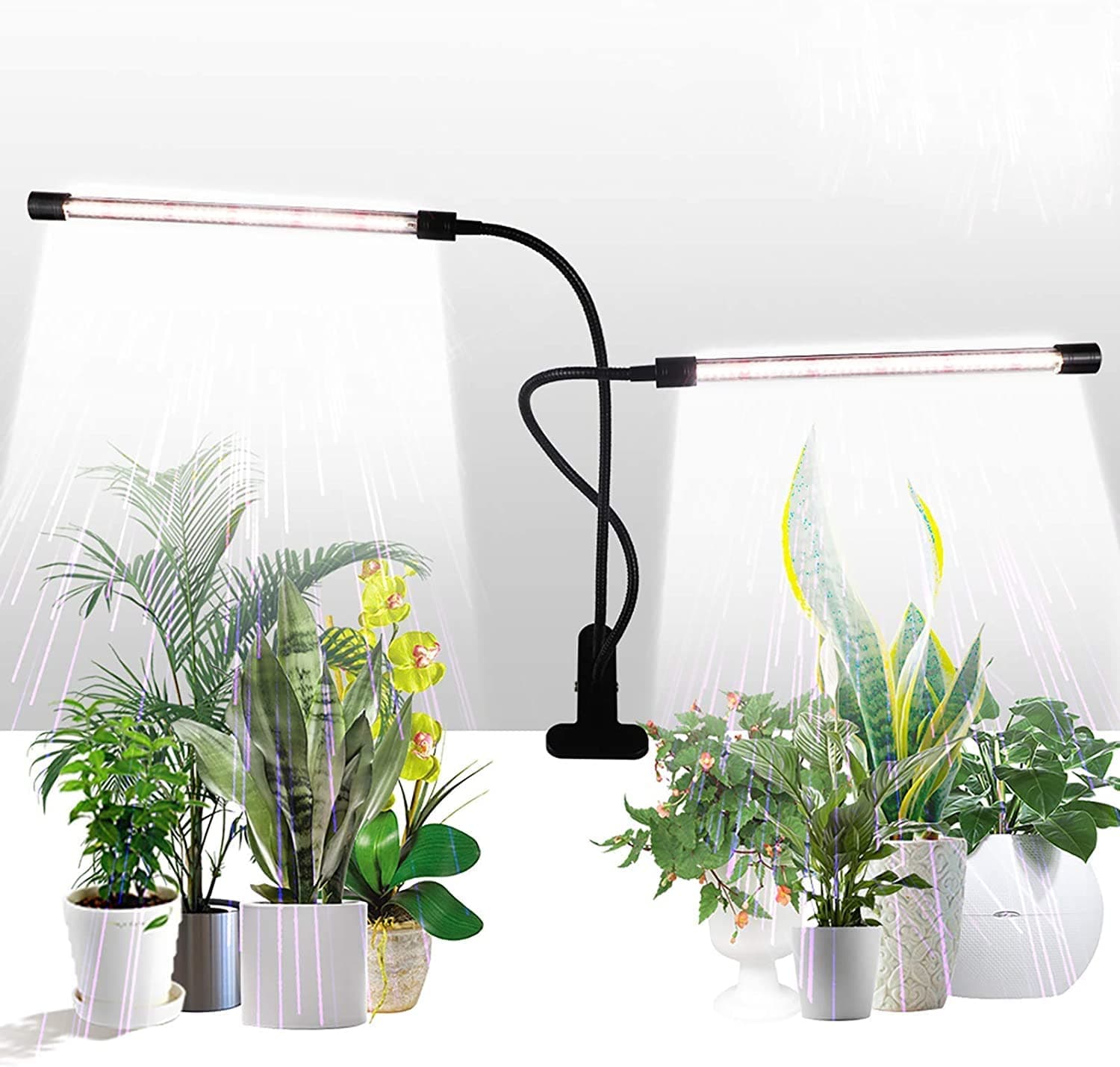 Grow Light,GHodec Sunlight White 50W 84 LEDs Dual Head Clip Plant Lights for Indoor Plants, 4/8/12H Timer & 5 Dimmable Levels