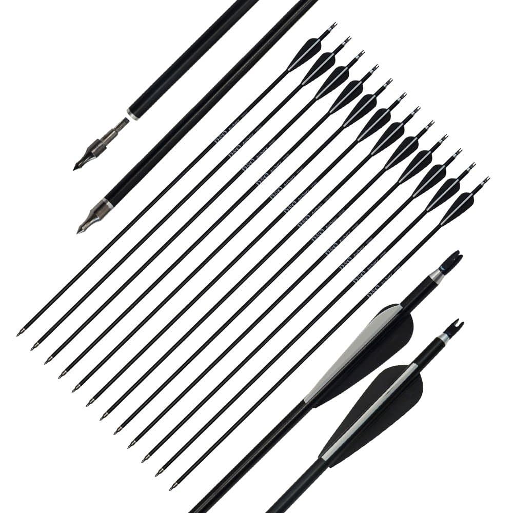 D&QAluminum Arrows 31 Inch with Fletched 3 Inch Feather Vane Screw-in Field Points Replaceable Tips Adjustable Nocks for Recurve Compound Bow Longbow Hunting Shooting Target Practice (Pack of 12)