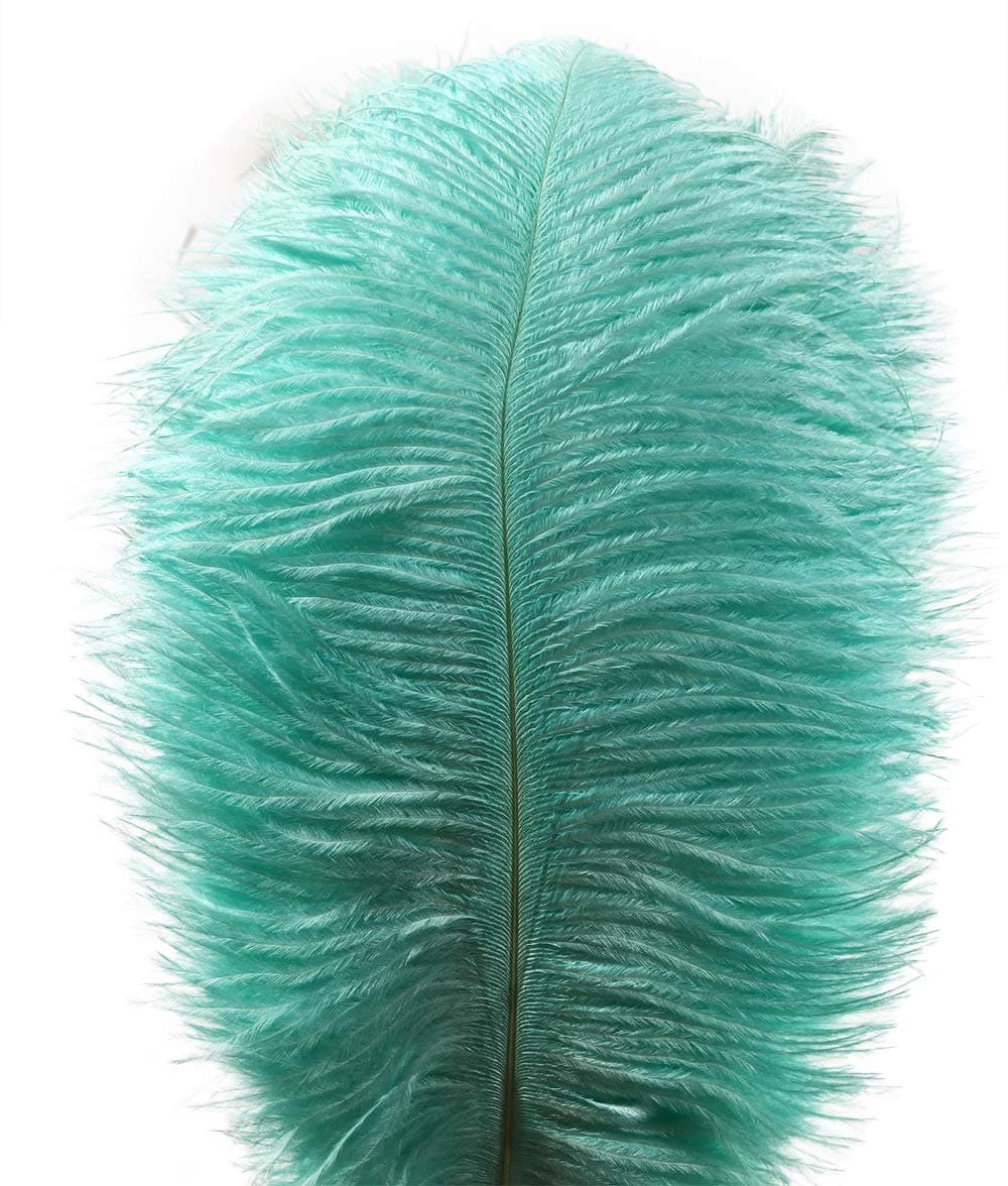 Lampu 10pcs Ostrich Feathers 12-14 inch(30-35cm) Plume Home Wedding Decoration(Mint Green)