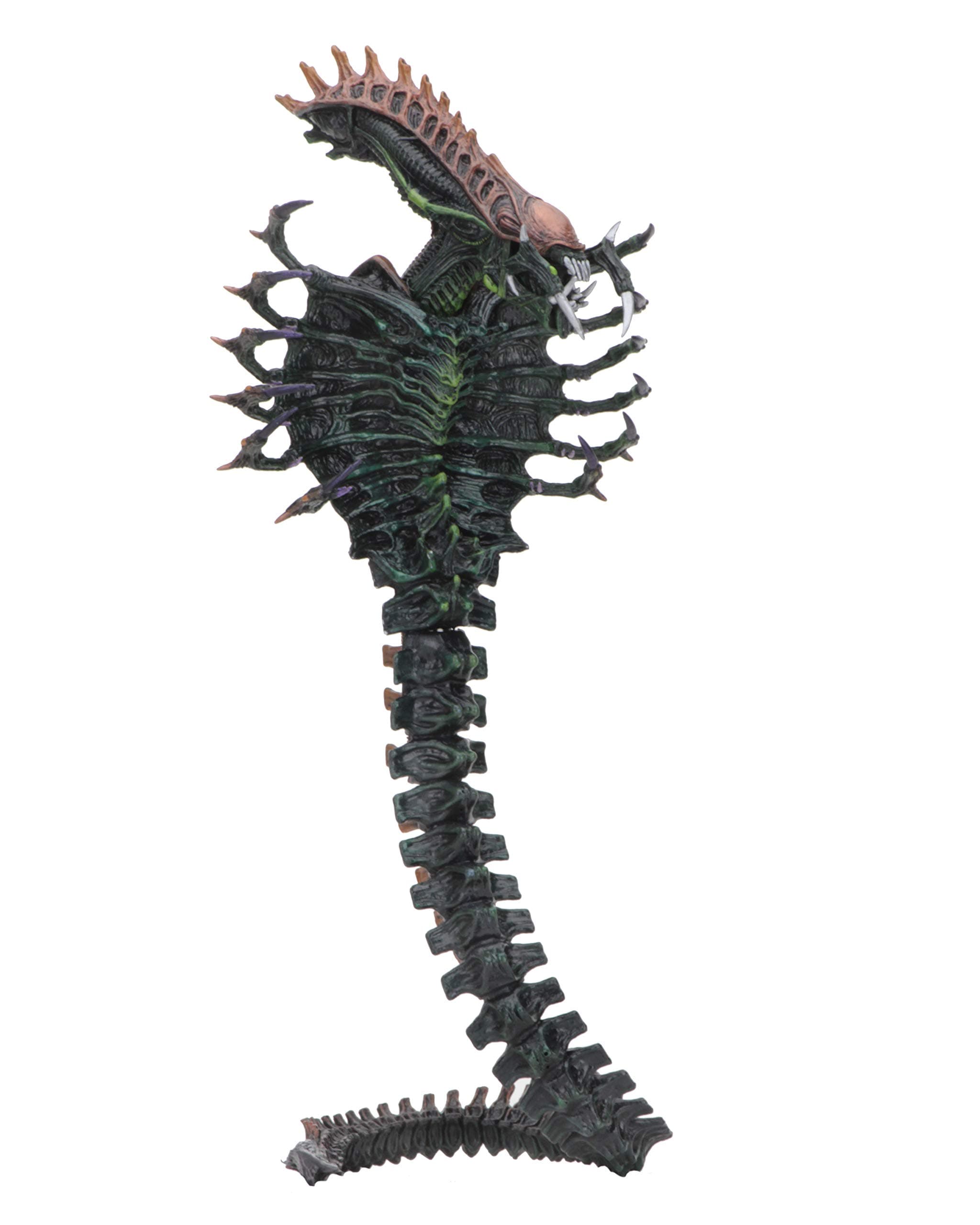 NECA - Alien Snake Figure 18 cm Aliens Series 13, Colour (NEC0NC51668), Assorted Colour/Model