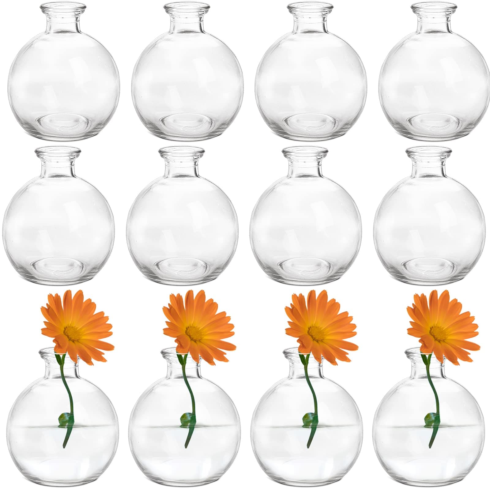 SOUJOY Set of 12 Small Glass Ball Bud Vase, Unique Mini Low Sitting Flower Vase, Clear Floral Centerpieces for Home Decor, Weddings, Floral Arrangements, Events, Parties