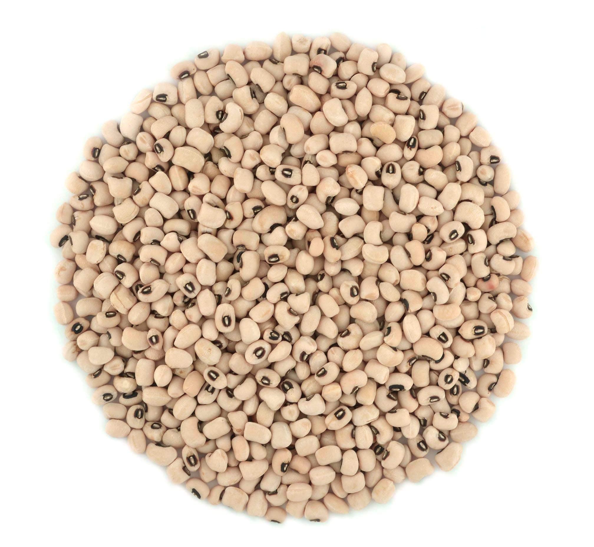 Organic Black Eyed Peas- Fiber & Protein rich, Raw, Non-GMO, Vegan Bulk-1LB