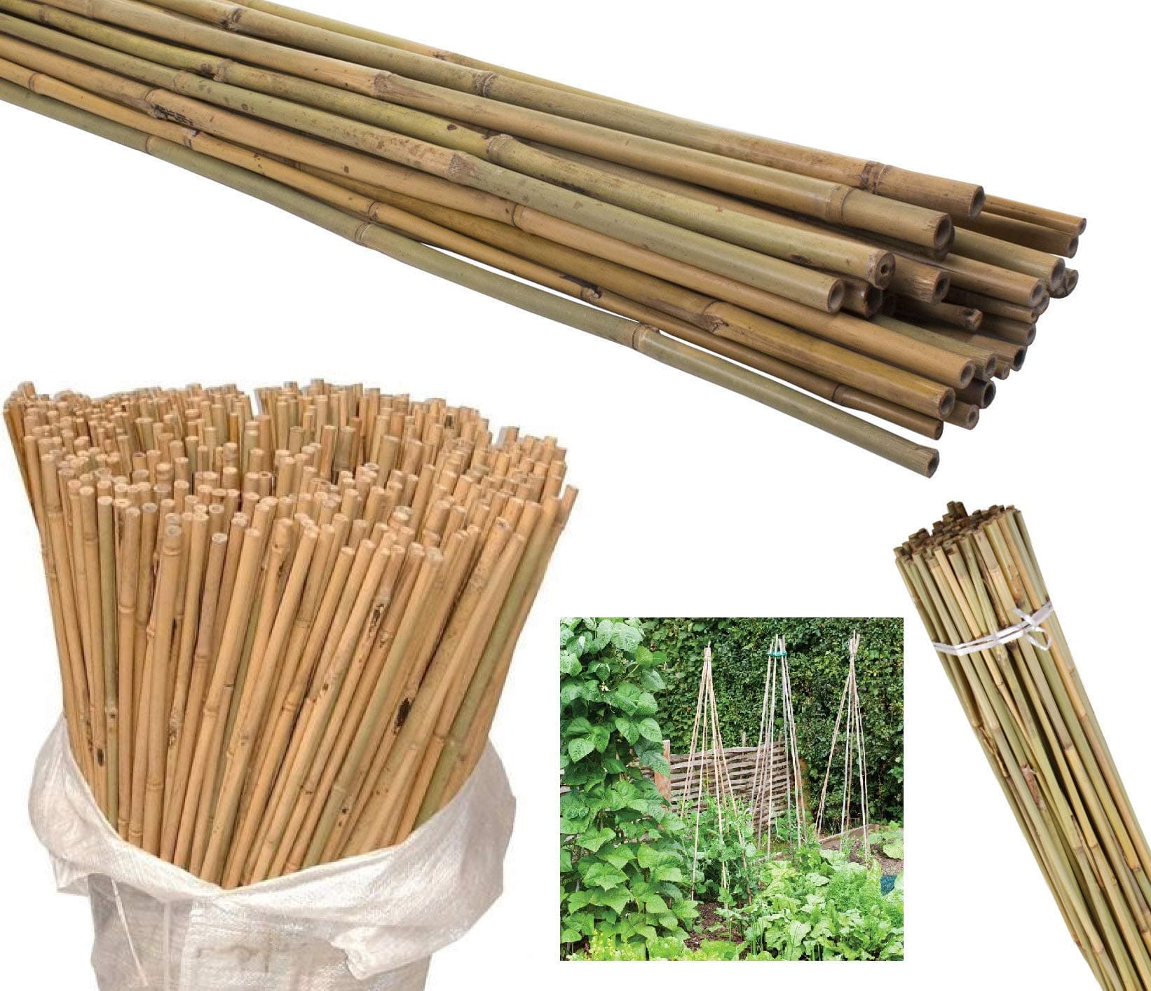 AQS INTERNATIONAL 50 x Professional Heavy Duty Natural Bamboo Canes Reusable Garden Plant Support Thick Strong Canes Stick (50 X 5FT Lenght)